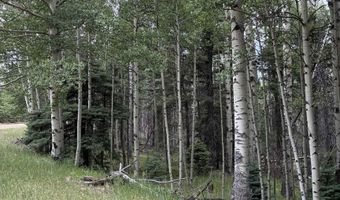 Back Basin Road lot 4, Angel Fire, NM 87710