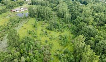 Birch Run Rd, Arbela, MI 48746