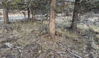 Prarie Dog Drive, Bonanza, OR 97623