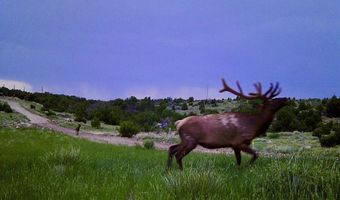 84521 County Road 40.2 Hidden Gem at Poitry Canyon, Branson, CO 81027