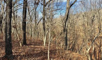 Farm Rd 1187 Lc, Ash Grove, MO 65604