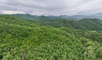 399 Shell Stand Rd, Almond, NC 28702