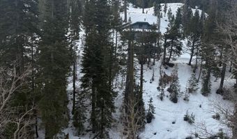 1416 Mineral Spring Trl, Alpine Meadows, CA 96146