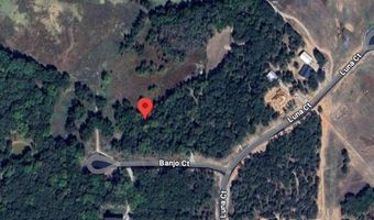 130 Banjo Ct, Alvord, TX 76225