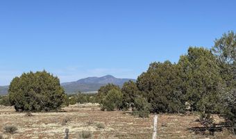 314 Bullock Rd, Ash Fork, AZ 86320