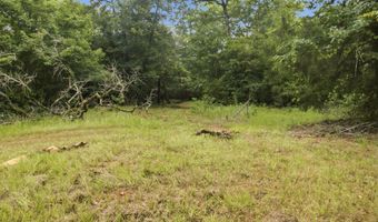 115355 115353 CR 2501, Alto, TX 75925