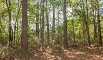 77 Wheat Patch Rd, Belhaven, NC 27810
