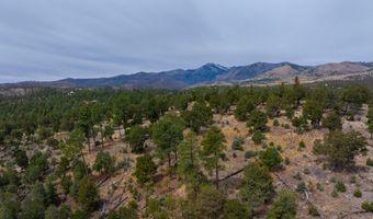 PN TBD BACHE ST & MESITA DR, Alto, NM 88312