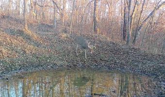 Simons Rd, Alma, WI 54610