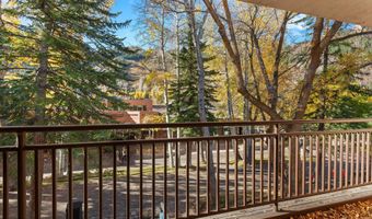 408 E Cooper Ave, Aspen, CO 81611