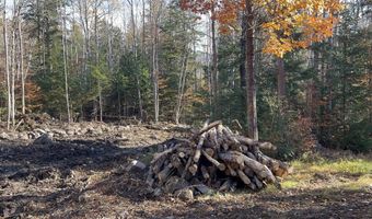 00 Dundee Rd 102, Bartlett, NH 03812