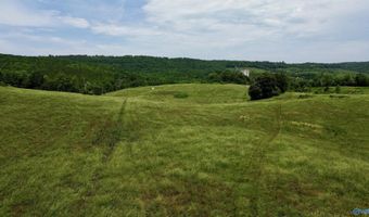 59 Acres Carnes Chapel Rd, Attalla, AL 35954