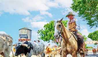 10713 Dusty Ranch Rd, Fort Worth, TX 76108