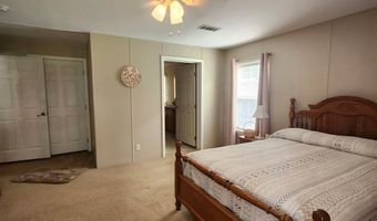 786 Blackberry Rd, Baconton, GA 31716