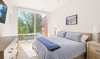 101 Willow Rd 206, Basalt, CO 81621