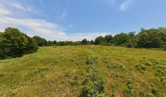 N County Road 113, Alton, MO 65606
