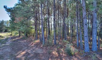 1110 KREG Ave, Albany, GA 31721