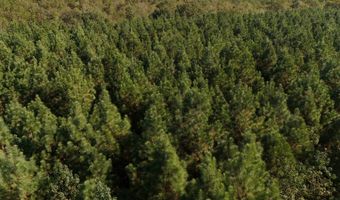 01 Goose Platter Rd, Batesburg, SC 29006