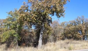 450 Rolling Hills Blvd, Alvord, TX 76225