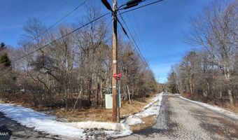 Minisink Chippewa Trail, Albrightsville, PA 18210