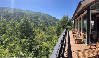 44481 HIGHWAY 82, Aspen, CO 81611