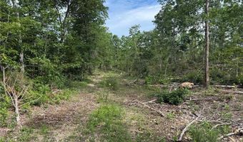 Tract 2 Hidden Valley, Annapolis, MO 63628
