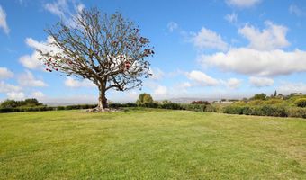 3594 Pear Blossom Dr, Oceanside, CA 92057