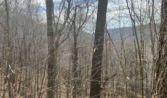 0 TBD Elleber Sods Rd, Bartow, WV 24920