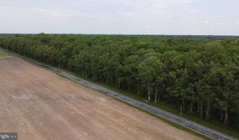 Lot 1 Cedar Grove Church Road, Felton, DE 19943