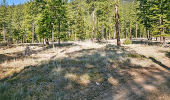 13902 Highland Trl, Alberton, MT 59820