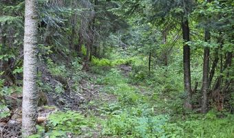 480 Dunn Peak Rd, Avery, ID 83802