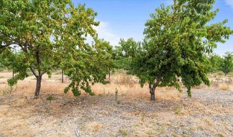 27504 W Orcutt Rd, Benton City, WA 99320