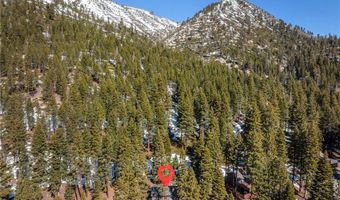 696 Bidwell Ct, Incline Village, NV 89451