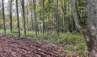 002 Duck Pond Rd Lot #2, Barton, VT 05822