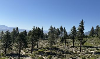 Kingsbury Grade, Gardnerville, NV 89460