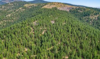 NNA USFS 2550 40 acres, Blanchard, ID 83804