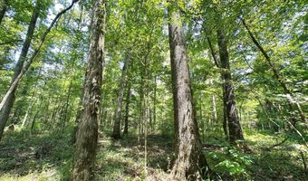 1 Champion Hill Rd, Bolton, MS 39041