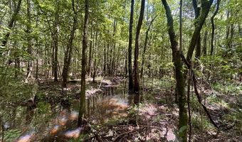 000 Pebble Cove Rd, Abbeville, AL 36310