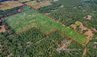 SW 120 Avenue, Archer, FL 32618