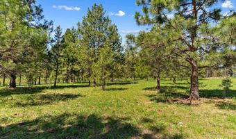 507 Bearlea Rd, Anatone, WA 99402
