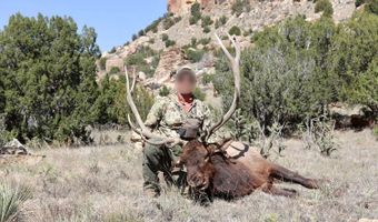 001 CR 40.2, Branson, CO 81027