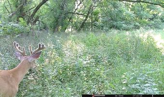 6305 W US Highway 223, Adrian, MI 49221