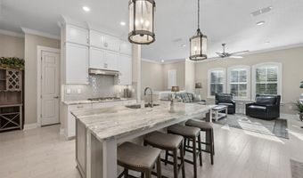 96121 HANGING MOSS Dr, Amelia Island, FL 32034