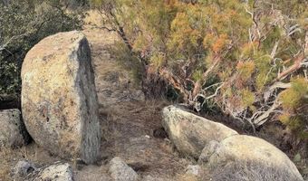 56795 Cain Rd, Anza, CA 92539