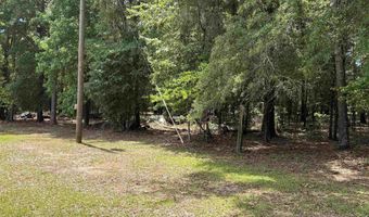 2950 Fountainville Rd, Andersonville, GA 31711