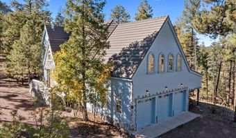 12 County Rd 2074, Alpine, AZ 85920