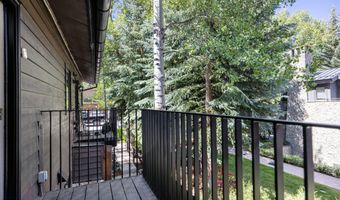 950 E Durant Ave 4, Aspen, CO 81611