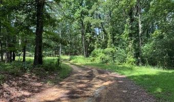 148 Butler Dr, Braxton, MS 39044