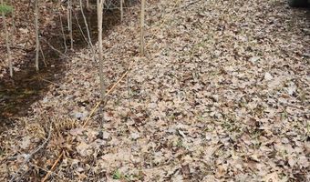 N Forest Lake Drive, Alger, MI 48610