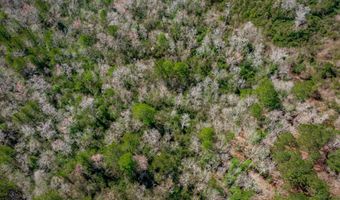 624 Senterfeit Rd, Batesburg, SC 29006